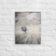 Lonely Tree 1 - Canvas Print